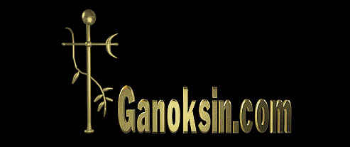 Ganoksin