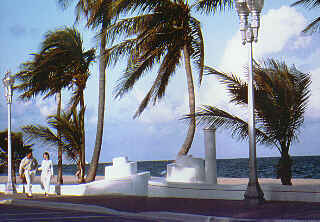 Beautiful Florida beach